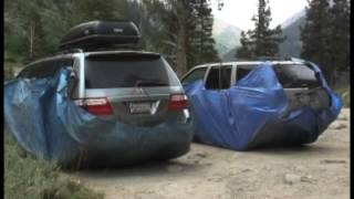Marmots with a taste for torque