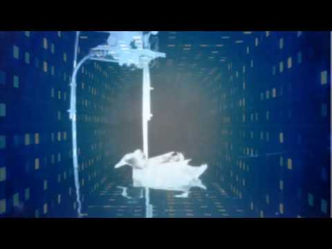 trance11 
