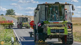 Farm Wheat harvest / 3 NEW Claas Lexion 7700 Terra Trac grain harvest 2020