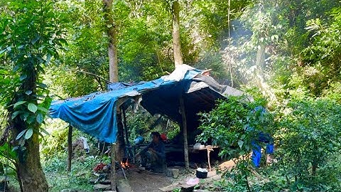 Cuộc sống rừng xanh • Tập 1 | Thăm lại ông cụ một mình giữa rừng sâu