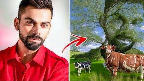 Trending Ai illusion photo editing 100% Viral 😱 🔥? Nature Stable Diffusion Image To Image Editing