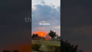 It always gets me screaming 🤭 #shorts#viral#ytshorts#sunset#explore#golden#goldenhour#funny#foryou