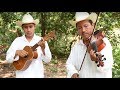 Corridos con Violín por Los Yolpakis - Ojitos Verdes y La Puerta Negra