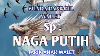 SUARA PANGGIL WALET TARIK ANAK _ SP.NAGA PUTIH