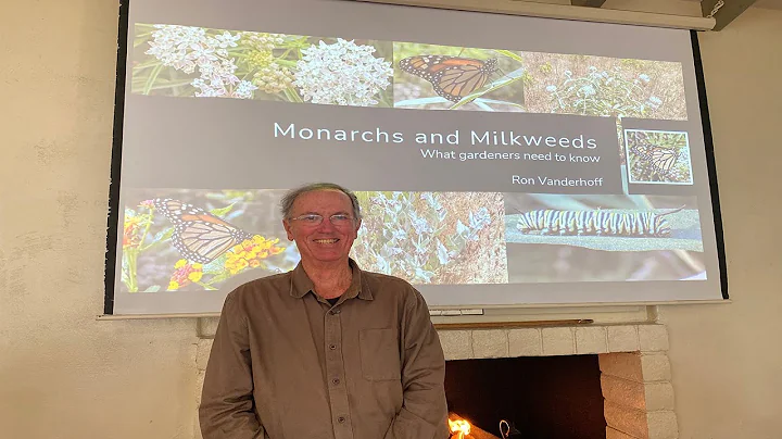 Monarchs & Milkweed  What Gardeners Need to Know