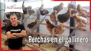 ✅ Perchas o Aseladeros en el Gallinero: Ventajas y consejos para instalarlas