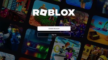 Roblox bug (fix pls)