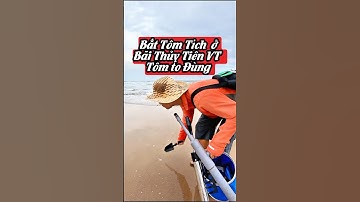 TRẢI NGHIỆM: Bắt Tôm Tích ở Bãi Thủy Tiên Vũng Tàu| Mò Cua Bắt Ốc -TV