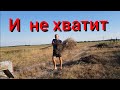 Каменная отмостка , счастливые животные , заготовка сена