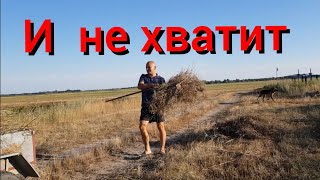 Каменная отмостка , счастливые животные , заготовка сена