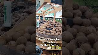 Coconut ( Thengina kayi) Cost in Patel Brothers Dallas, USA