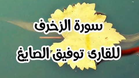 سورة الزخرف للقارئ توفيق الصايغ