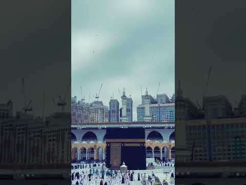 حتى إذا جاء أحدهم الموت قال رب ارجعون 99 لعلي أعمل صالحا فيما تركت