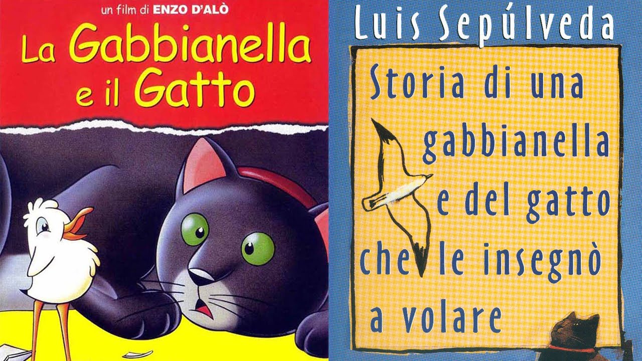 LA GABBIANELLA E IL GATTO Recensione [Che libro mi (s)consigli??] YouTube