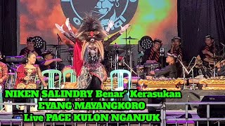Terbaru NIKEN SALINDRY Benar