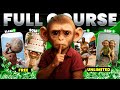 Create Viral AI Monkey YouTube Shorts with FREE Tools (Step-by-Step Course)