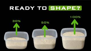 Sourdough Bulk Fermentation Guide: Times & Temperatures Explained Wealth