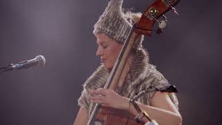 Mingo Rajandi - Lady Sapiens Live In Ha Concerts, Gent