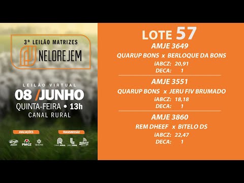 LOTE 57