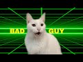 Billie eilish  bad guy  cats version