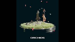Meyy - Orchids Dream 01