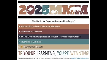 MMM Canvas Page & Animal Research Project