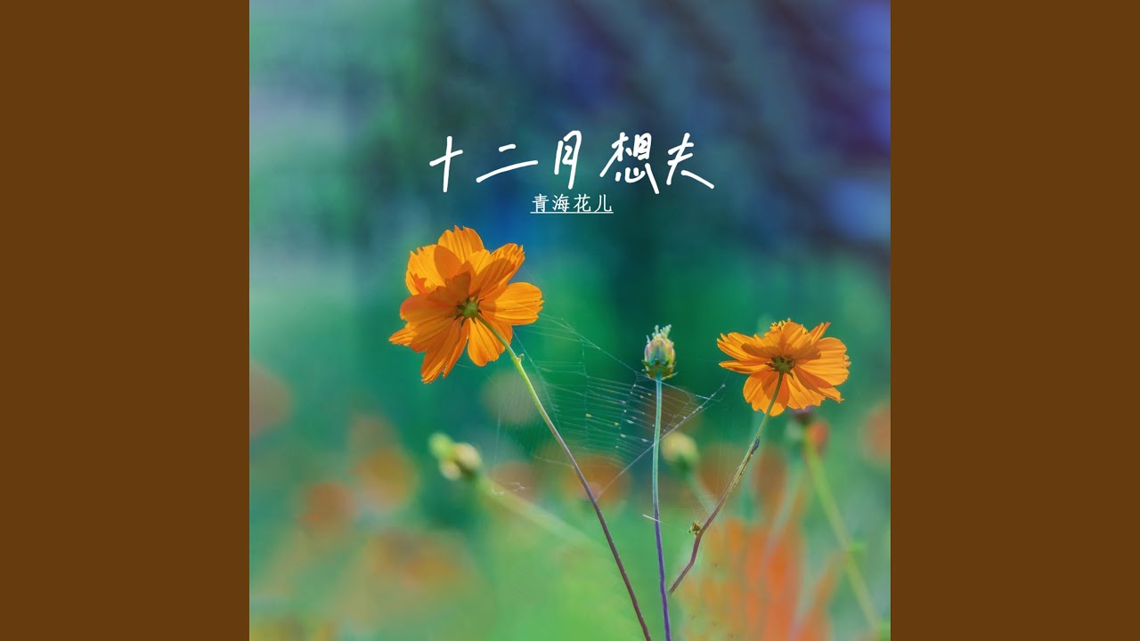 YouTube에서 尕玲直令對唱 1 보기 YouTube에서 尕玲直令對唱 1 보기