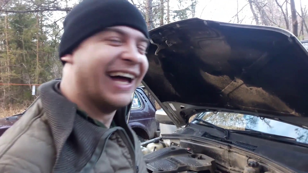 Авто беркут мшинская