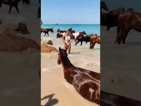 Horse With Sexy Girl Horseriding Horselove Biknigirl Bluebeach