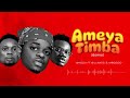 Whozu ft Billnass & Mbosso - Ameyatimba Remix (Official Audio)