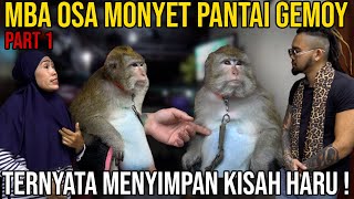 MBA OSA MONKEY GEMOY BEACH TURNS OUT TO HOLD A TOUCHING STORY #AudreyA #KINGOFTHEJUNGLE