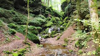 Mein Erlebnisreich In Der Tiefensteinklamm - Blog Rasbortschan