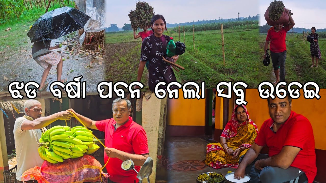 ଝଡ ବର୍ଷା ପବନ ନେଲା ସବୁ ଉଡେଇ l ପକୁଡି ଦହି ପଖାଳ 😋 l Gouranga Nayak Odia Vlogs