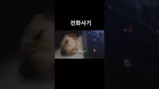 전화사기 #강아지 #브이로그 #dog #간식 #놀이