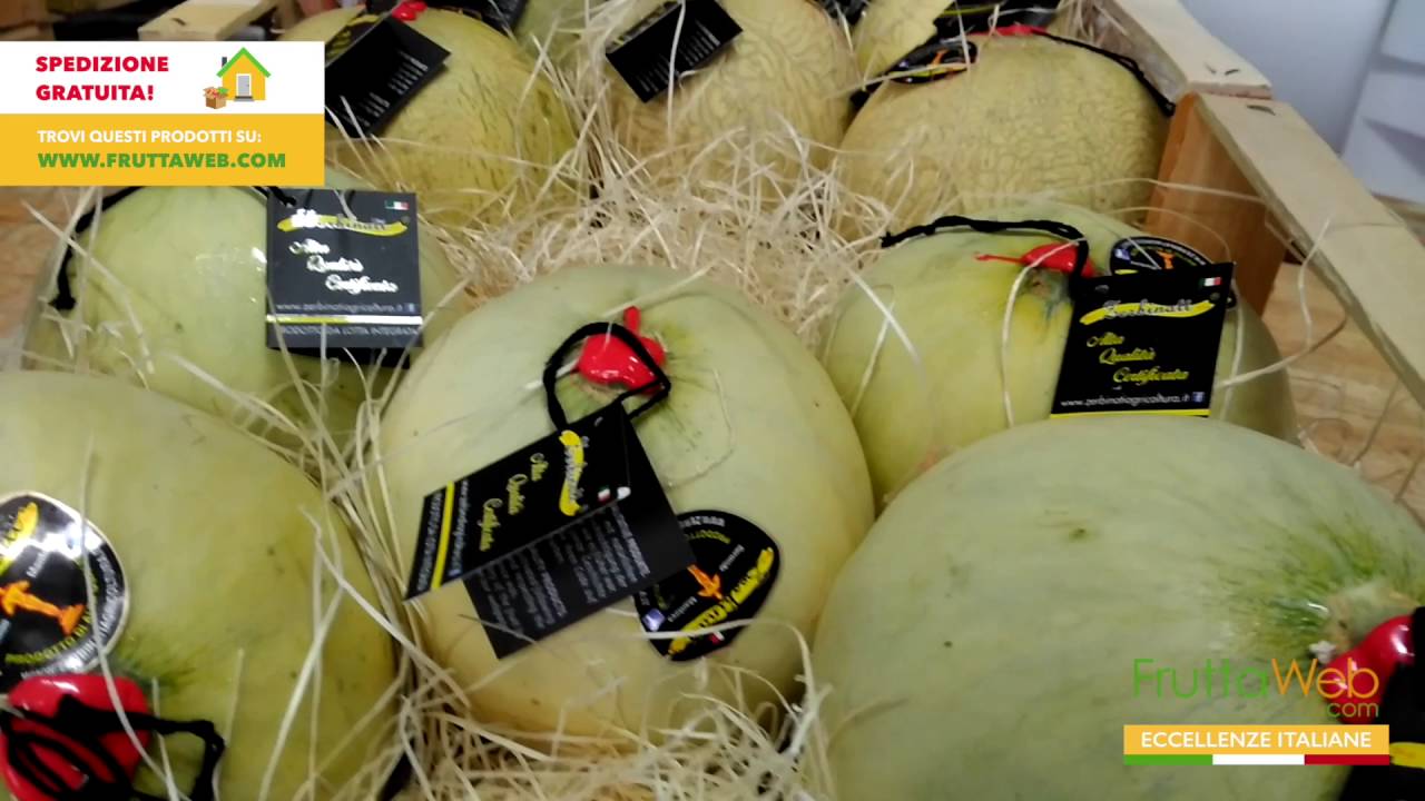 Frutta presenta il Melone Zerbinati YouTube