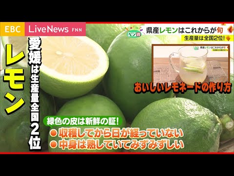【ベジ得】レモン　おいしいレモネードの作り方や長持ちする保存方法も