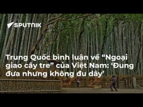 Video Học giả Trung Quốc bình luận về 