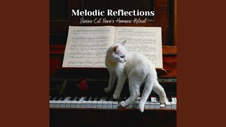 Serene Pathways of Melodies: Piano's Reflective Retreat