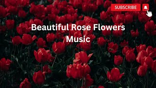 Enchanting Melodies of 'The Rose': Escape to Serenity with Soothing Music and Relaxing Nature Sounds