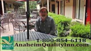 Restaurants Within Walking Distance