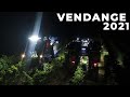 Vendange 2021 dans le sud   4x new holland braud 9070l  9090l  in france