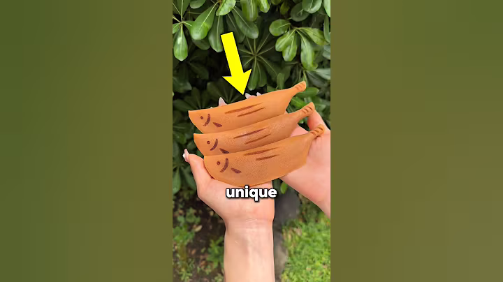 3 Unique things in Japan that solve everyday problems! 🇯🇵