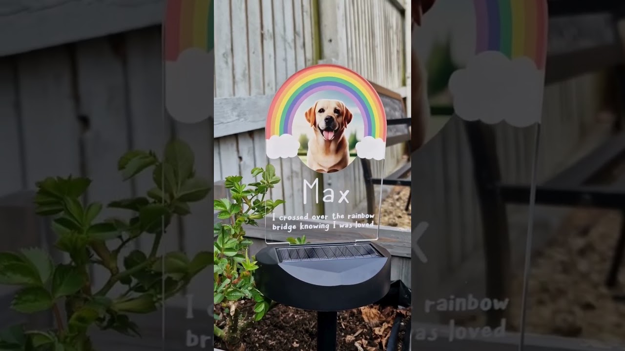 As Seen In YOUR Garden - Flory's Online 🎬