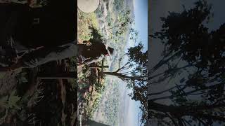 RED DEAD REDEMPTION 2! SUSAN GRIMSHAW GRAVE.