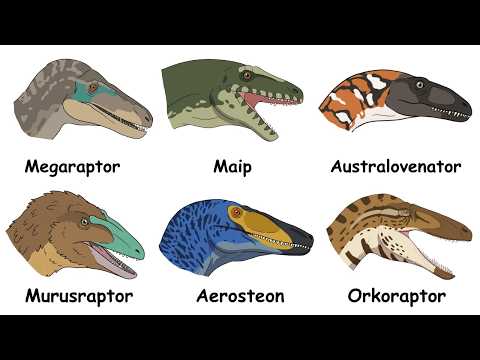 Every Major Megaraptorid Explained in 8 minutes