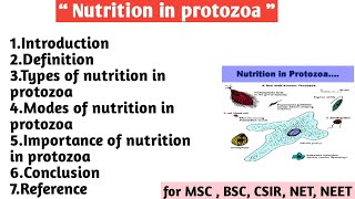 Nutrition in protozoa | Types | Modes of Nutrition | Importance of nutrition in protozoa 