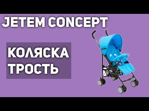 Прогулочная коляска Jetem Concept (трость)