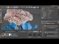 25. Видеоурок по Cinema 4d + AE:TBI Ident