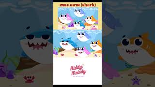 เพลง ฉลาม (shark) | เพลงเด็กเจ้าตัวเล็ก - Kiddy Melody