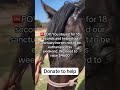 Every comment helps support our rescue mission—thank you.
